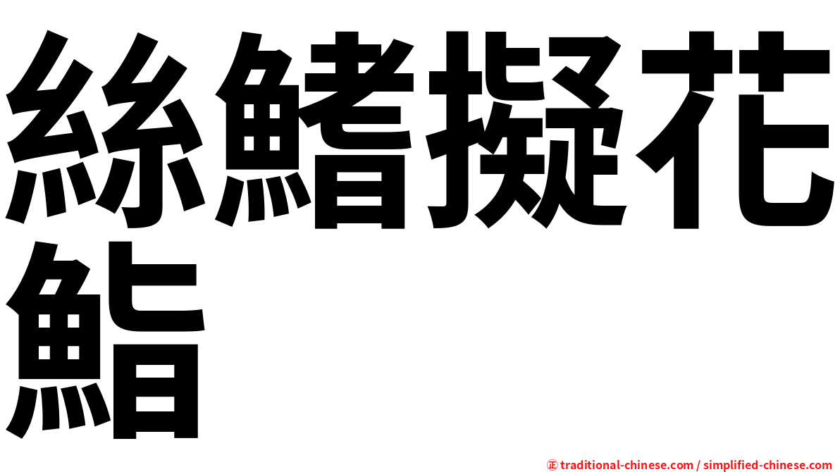 絲鰭擬花鮨