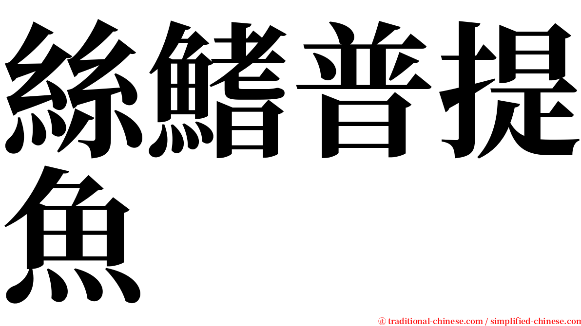 絲鰭普提魚 serif font