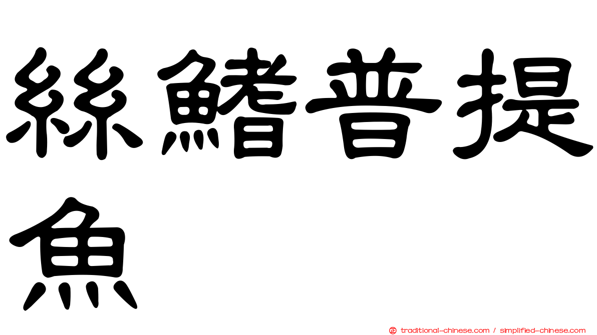 絲鰭普提魚