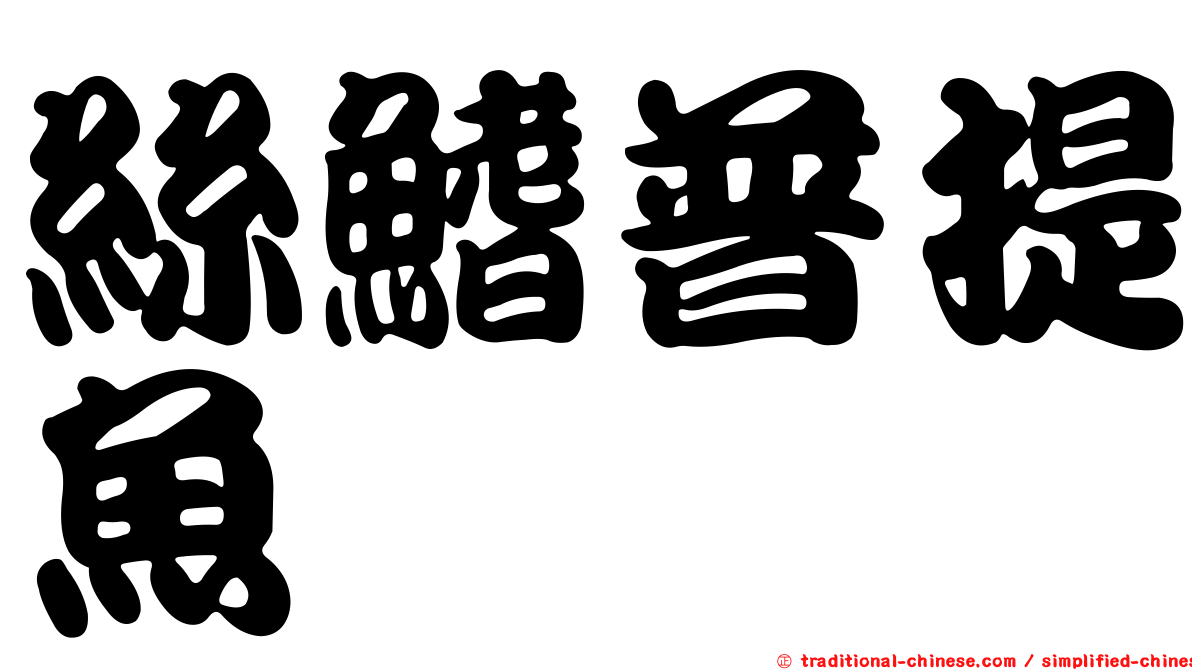 絲鰭普提魚