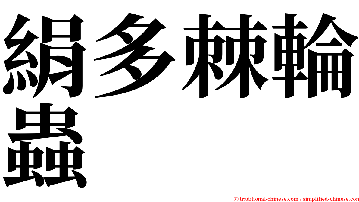 絹多棘輪蟲 serif font