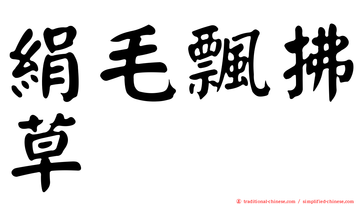 絹毛飄拂草
