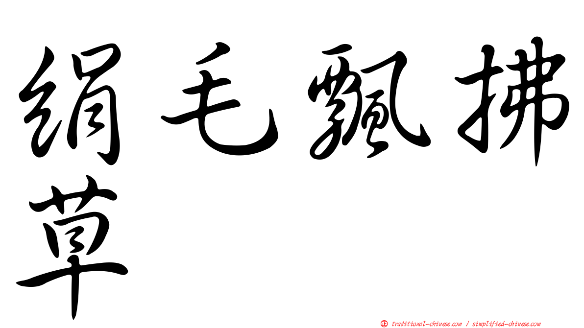絹毛飄拂草