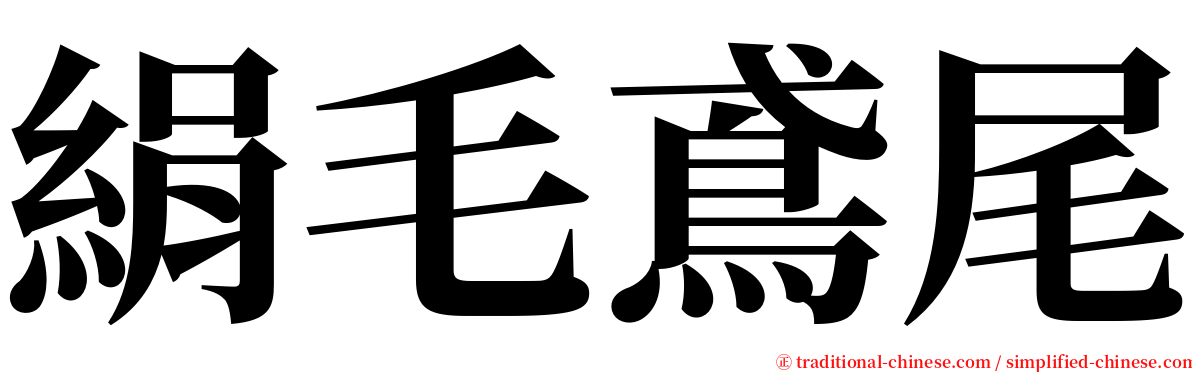 絹毛鳶尾 serif font