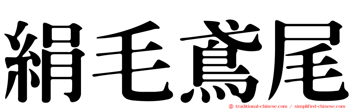 絹毛鳶尾