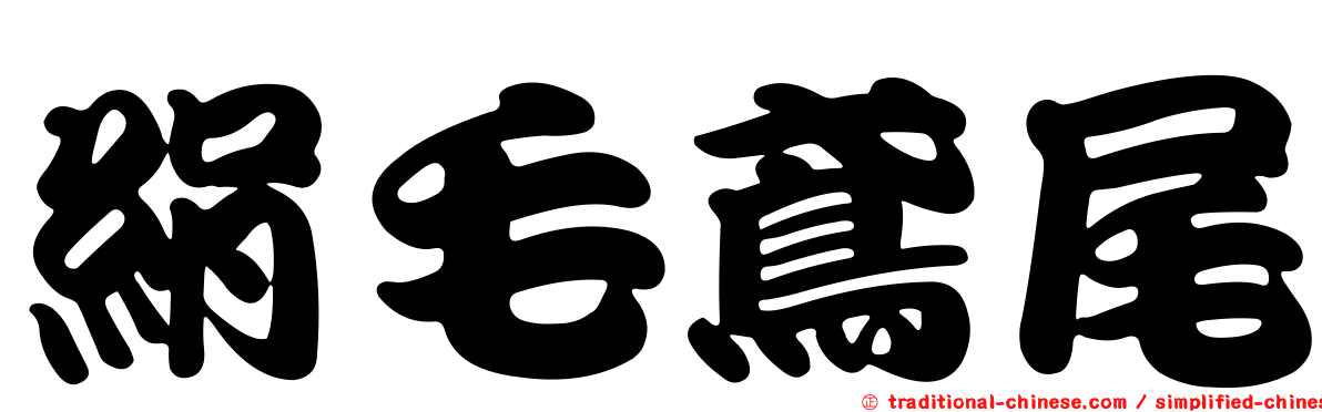 絹毛鳶尾