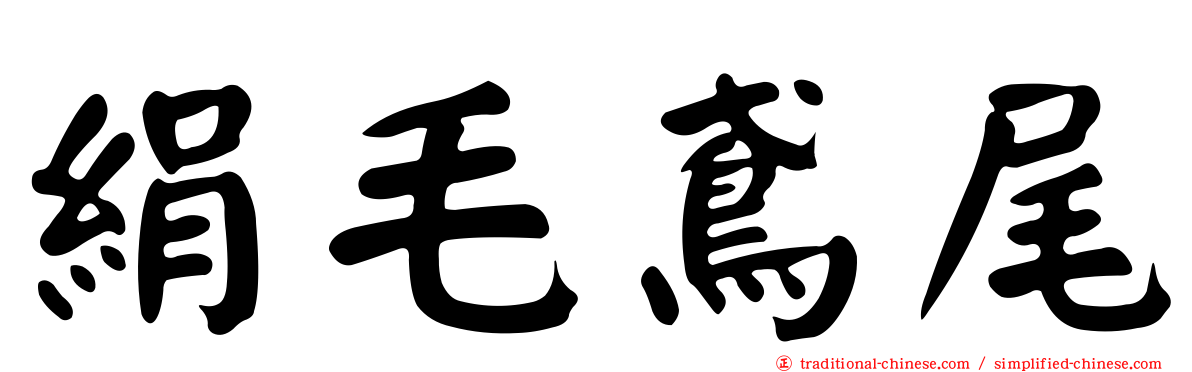 絹毛鳶尾