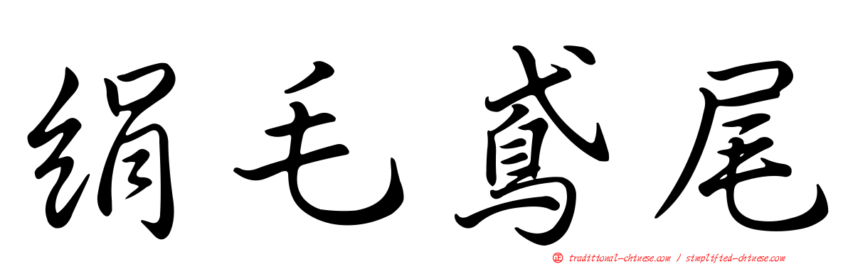 絹毛鳶尾
