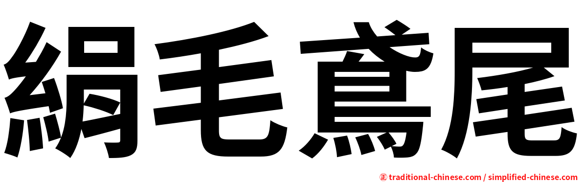 絹毛鳶尾