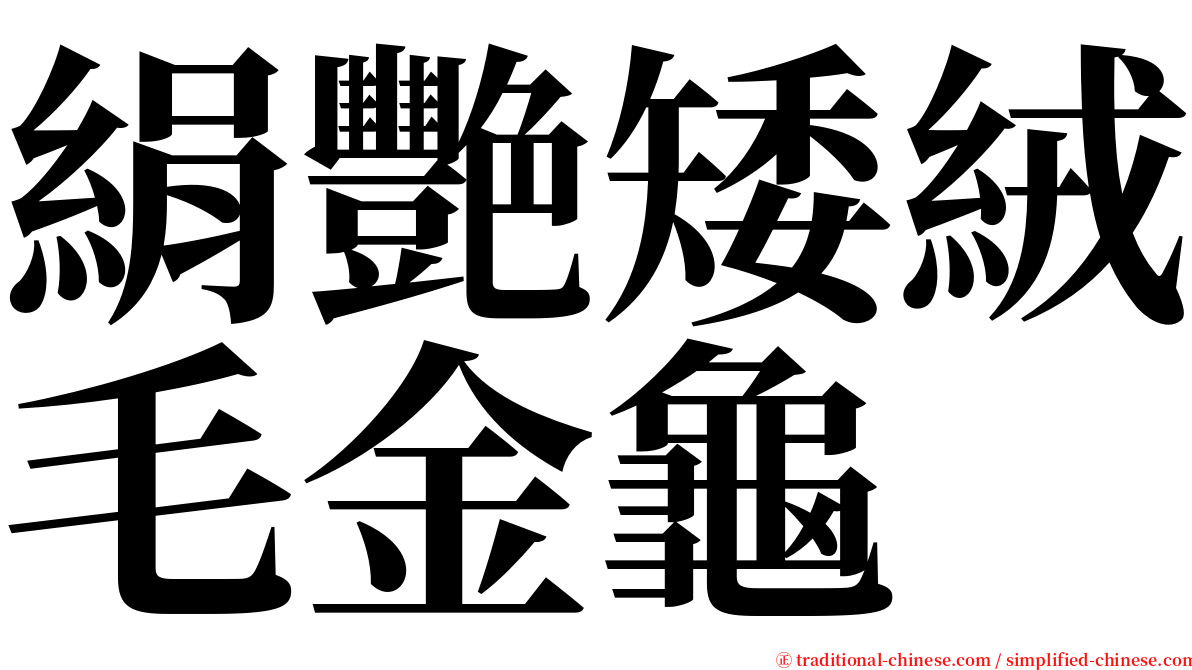 絹艷矮絨毛金龜 serif font