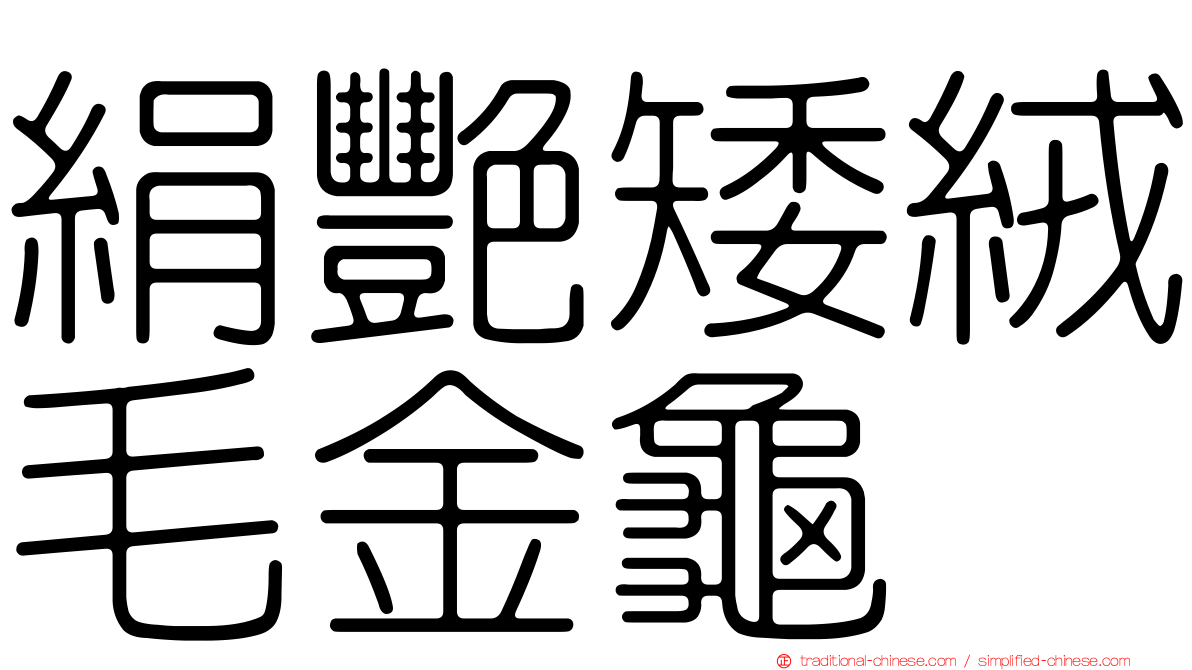 絹艷矮絨毛金龜