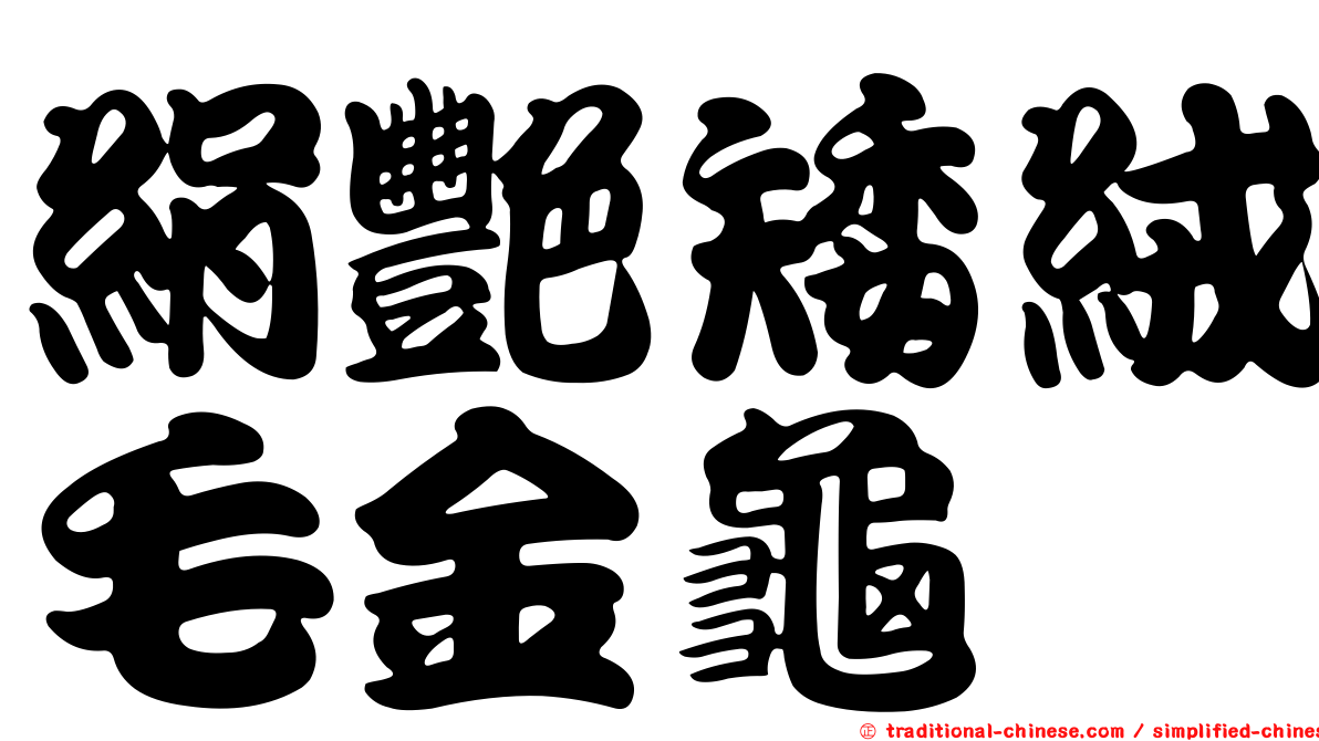 絹艷矮絨毛金龜