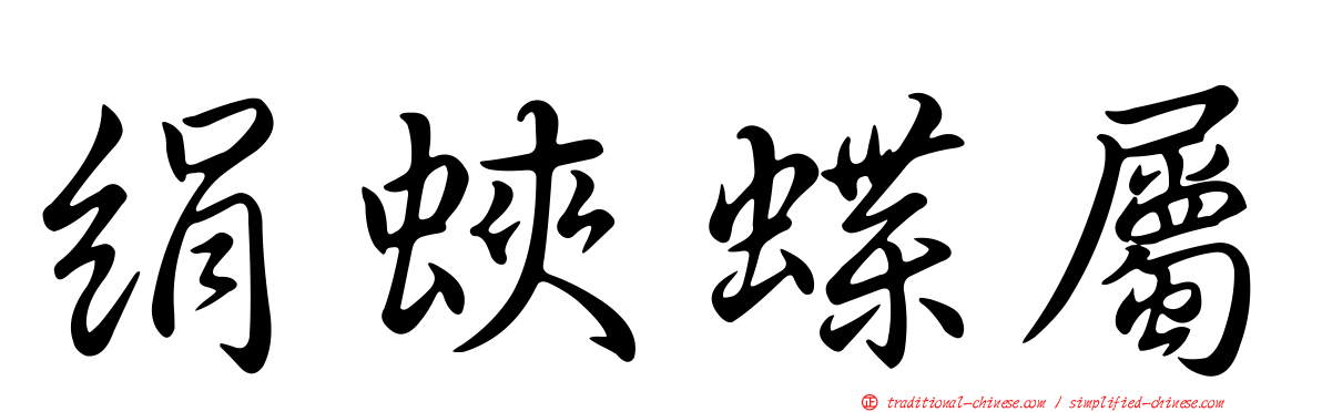 絹蛺蝶屬