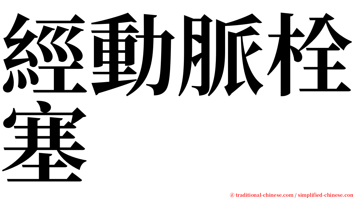 經動脈栓塞 serif font