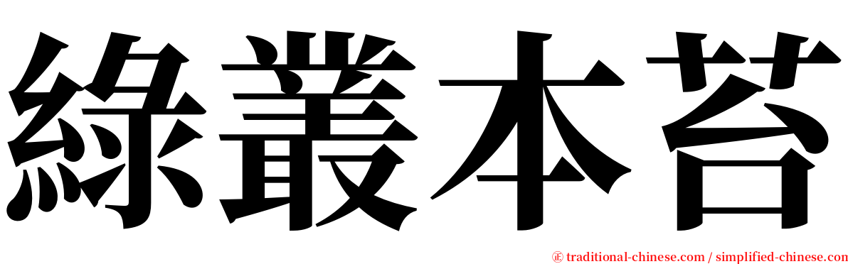 綠叢本苔 serif font