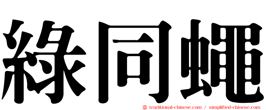 綠同蠅