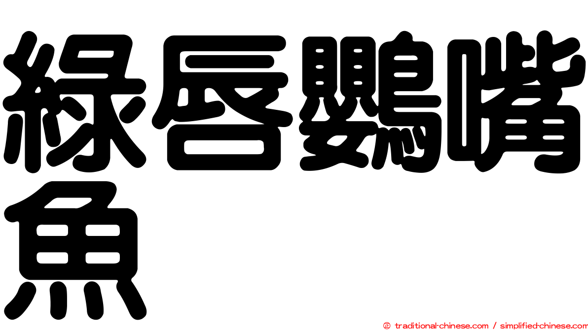 綠唇鸚嘴魚
