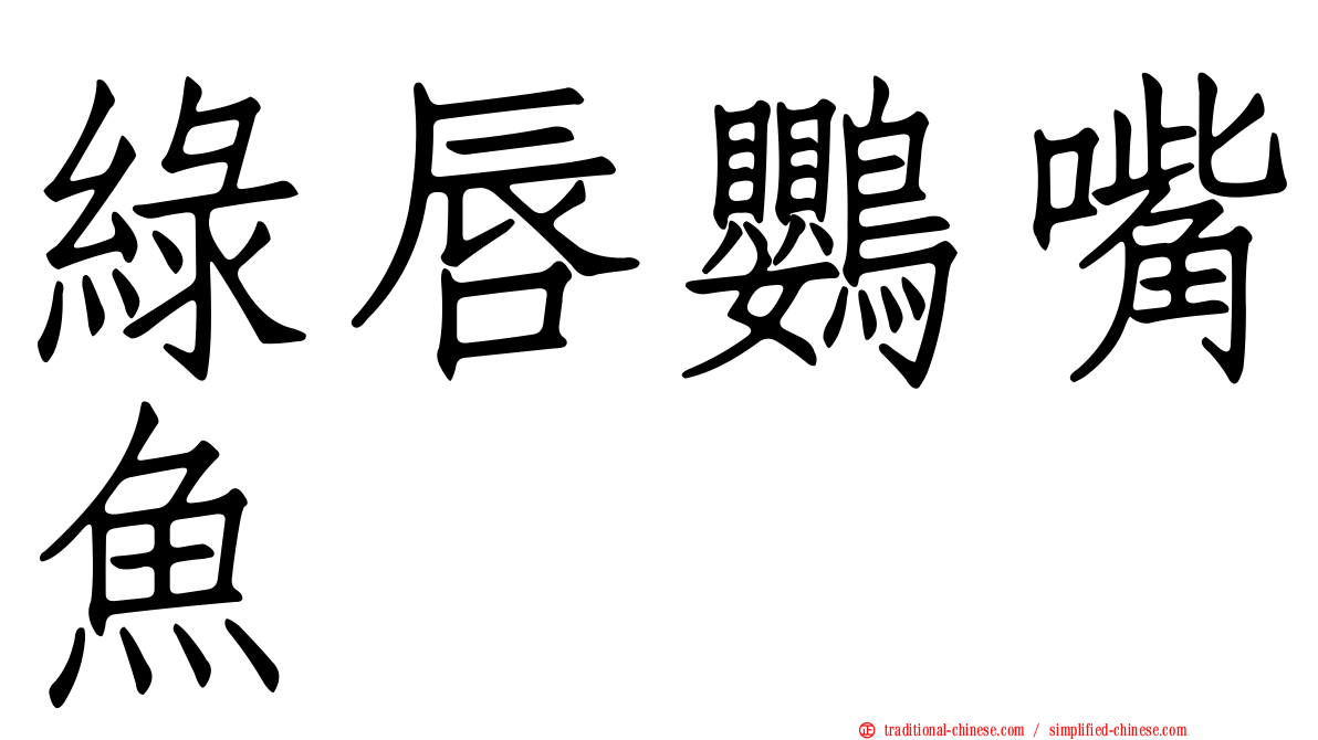 綠唇鸚嘴魚