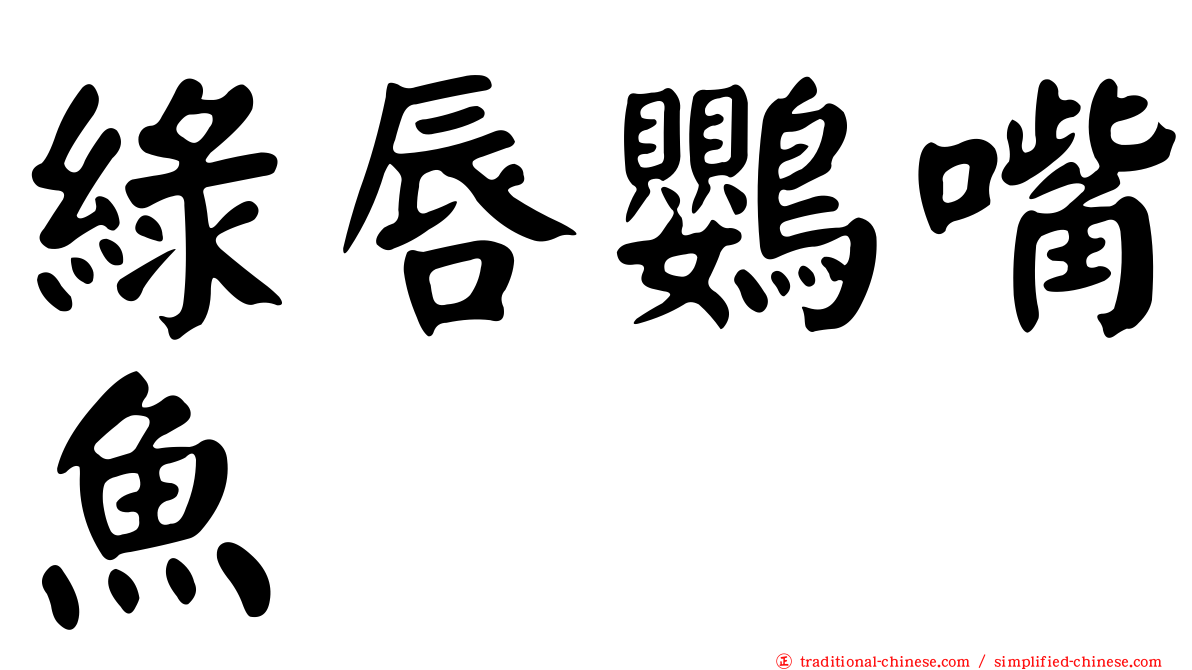 綠唇鸚嘴魚