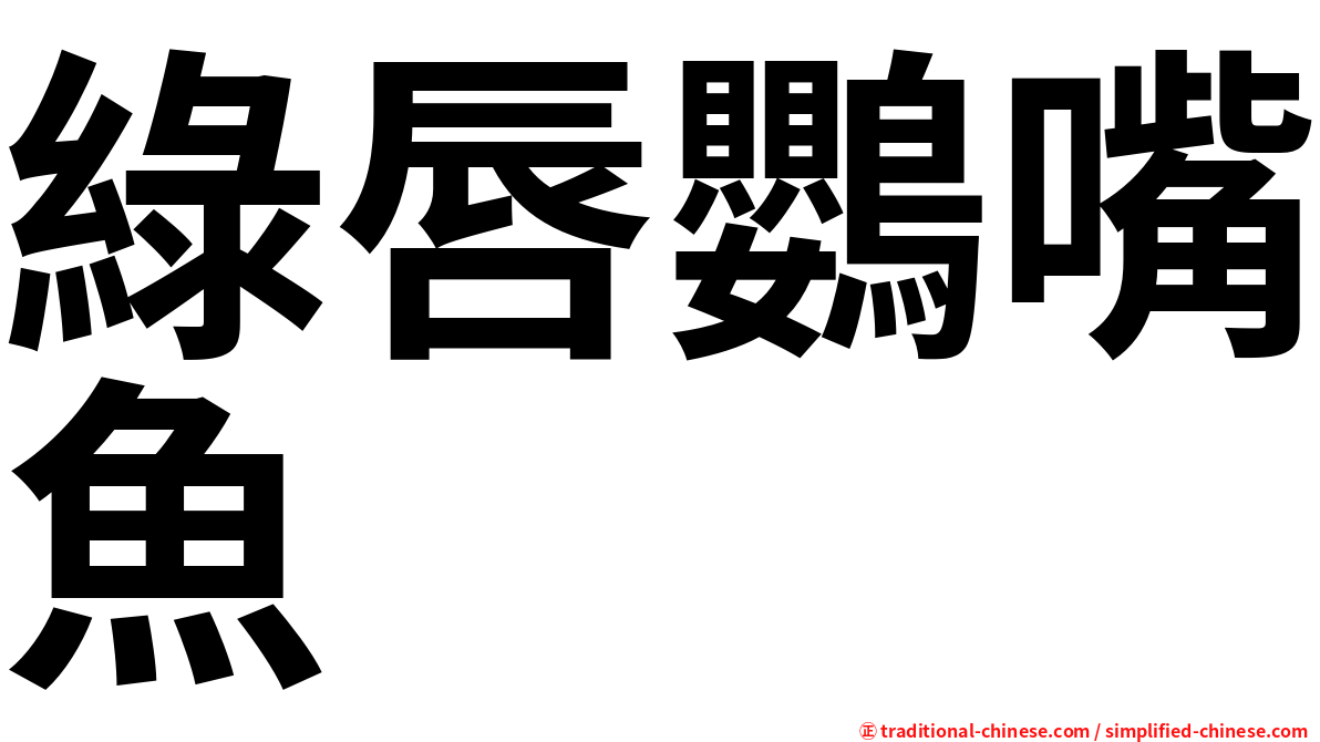 綠唇鸚嘴魚