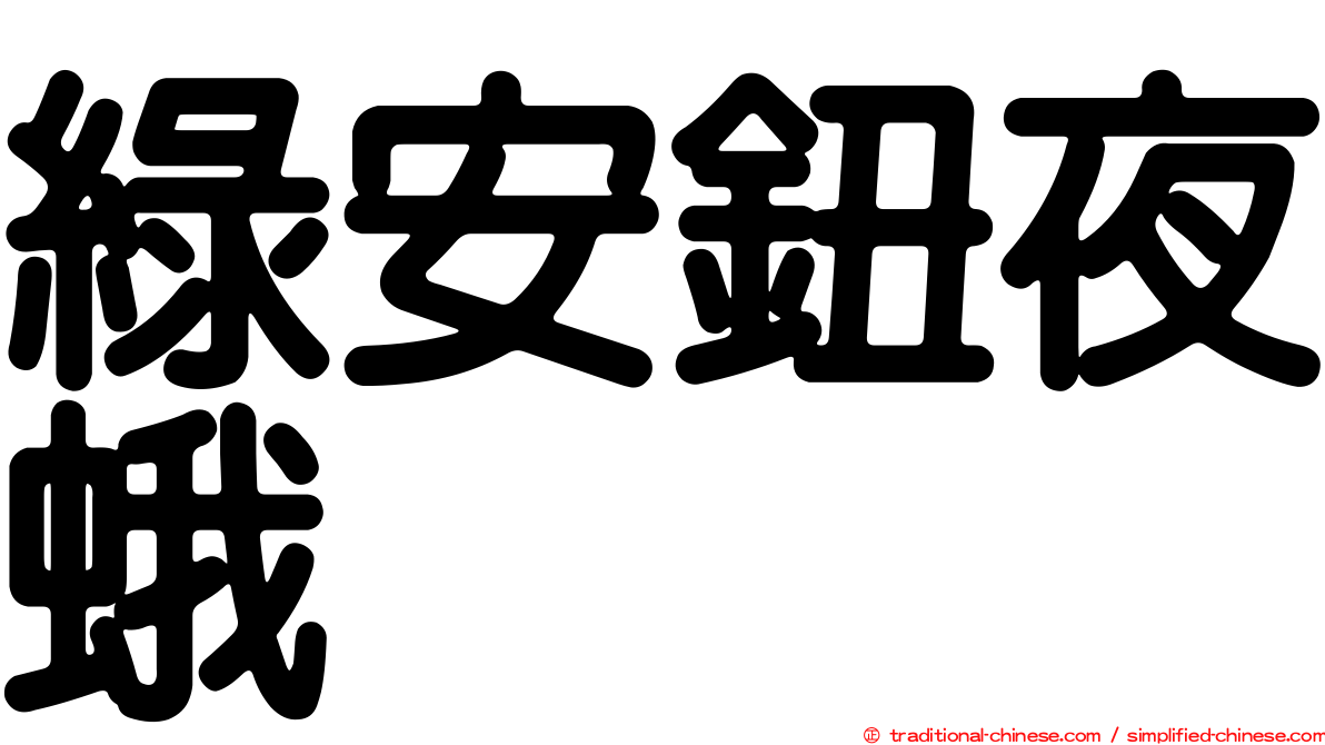 綠安鈕夜蛾