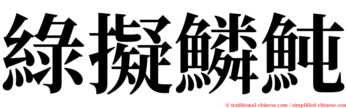 綠擬鱗魨 serif font