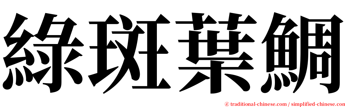 綠斑葉鯛 serif font