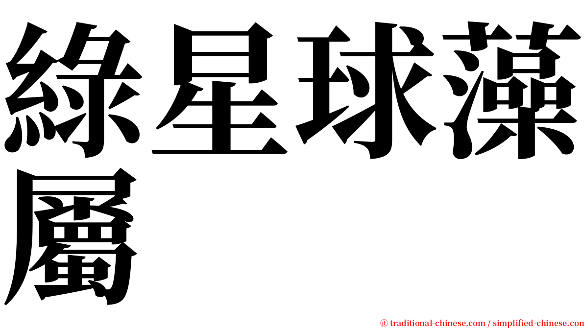綠星球藻屬 serif font