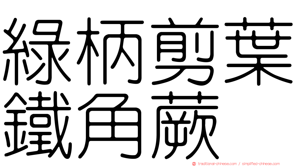 綠柄剪葉鐵角蕨