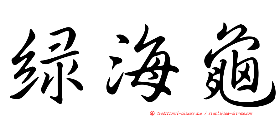 綠海龜