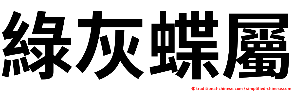 綠灰蝶屬