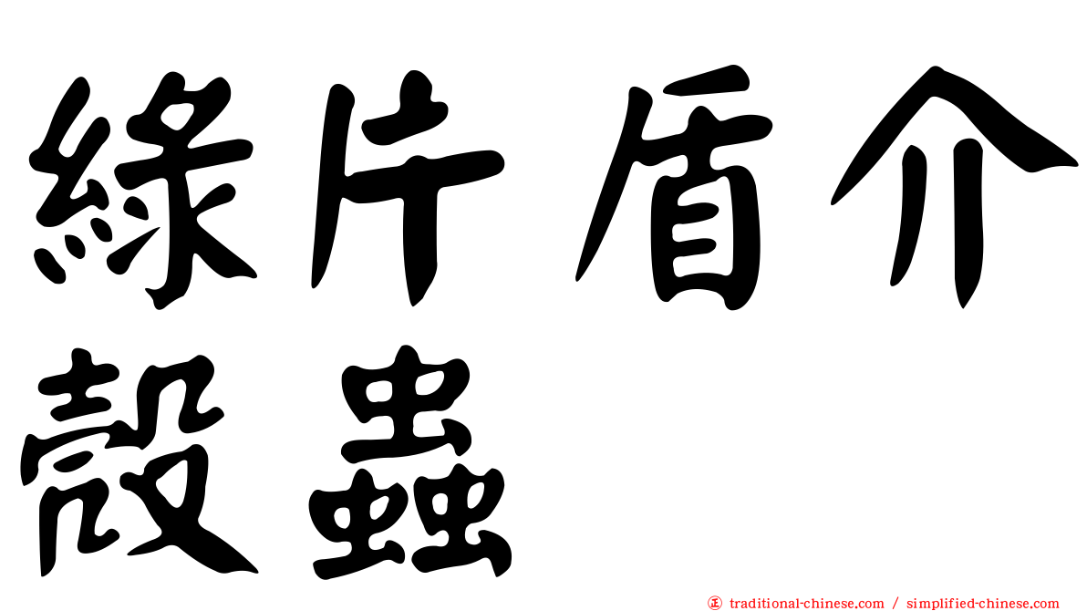 綠片盾介殼蟲