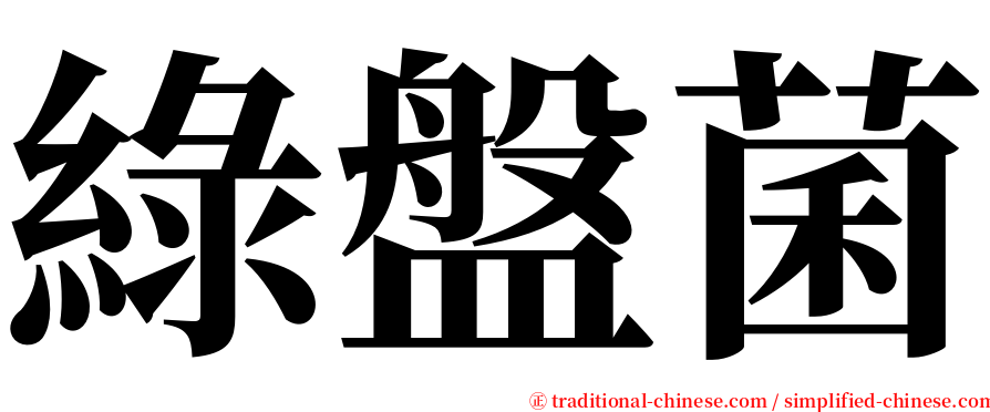 綠盤菌 serif font