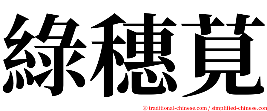 綠穗莧 serif font
