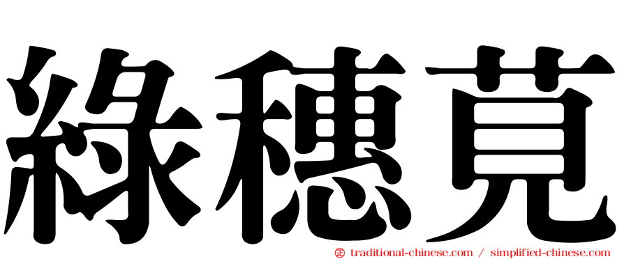 綠穗莧