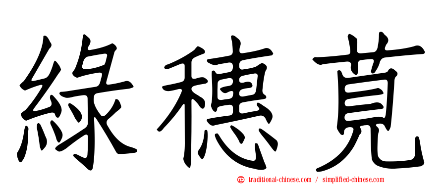 綠穗莧