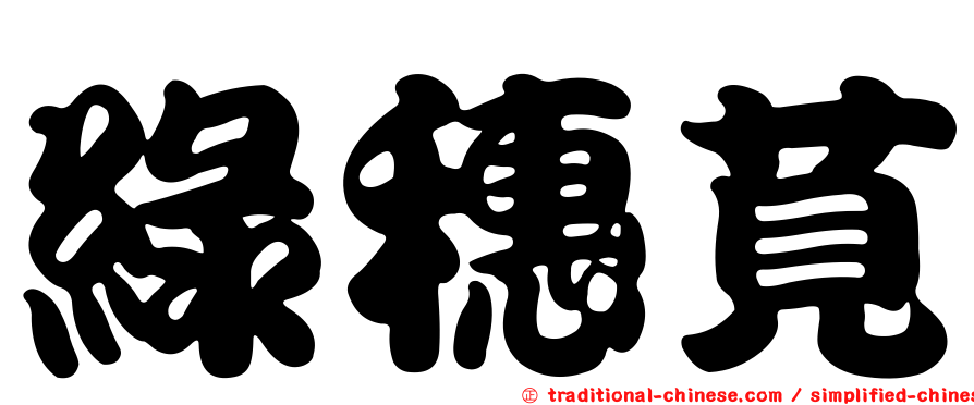 綠穗莧
