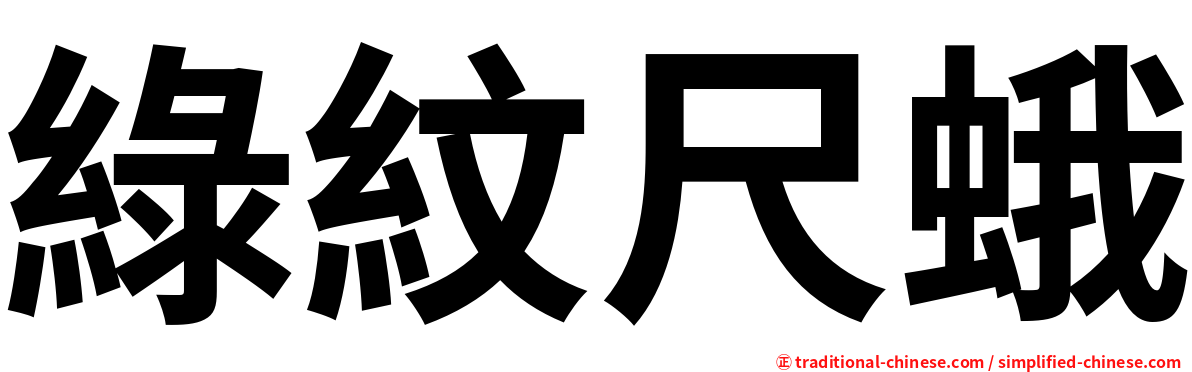 綠紋尺蛾