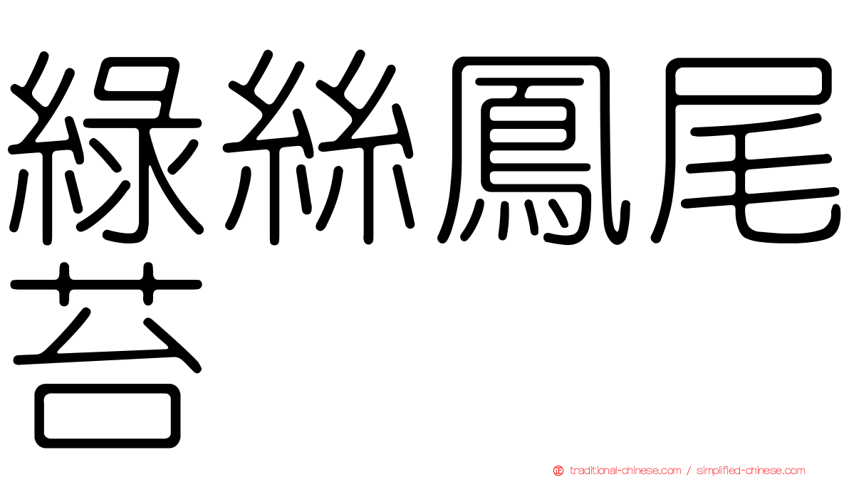 綠絲鳳尾苔