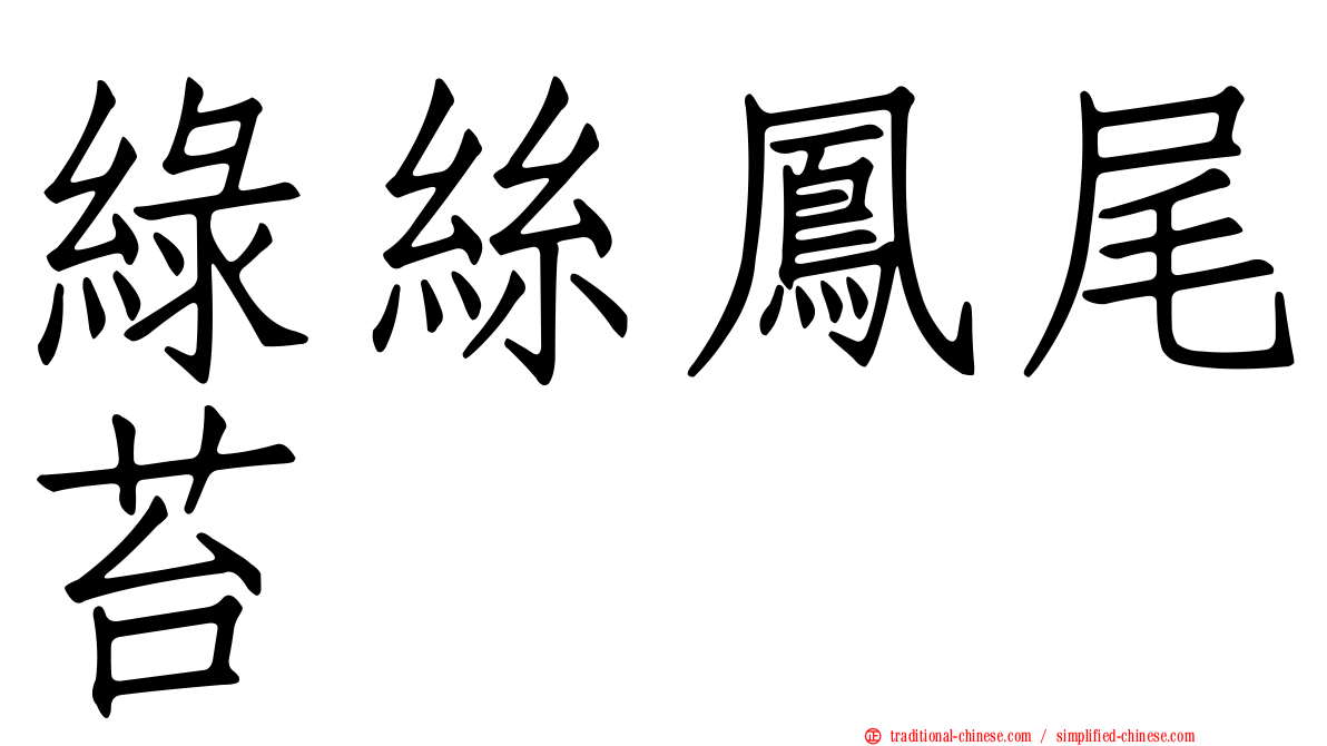 綠絲鳳尾苔