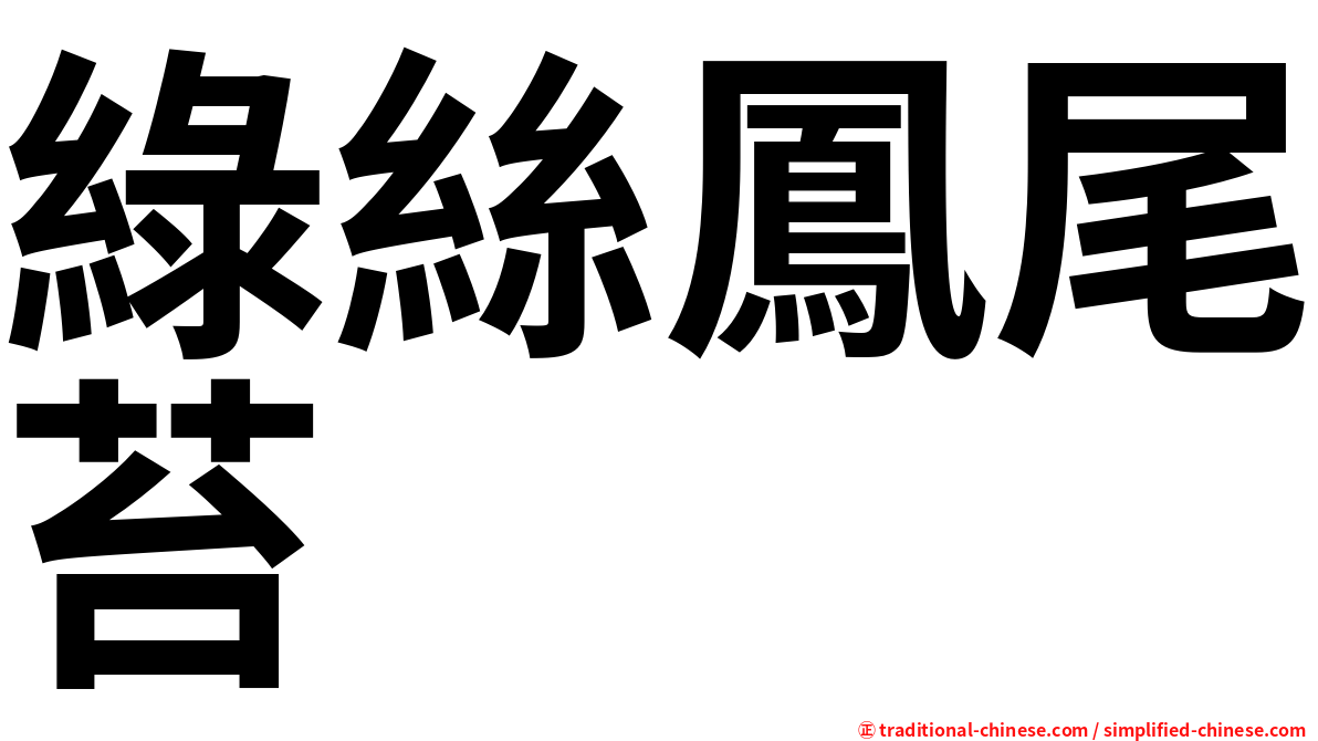 綠絲鳳尾苔
