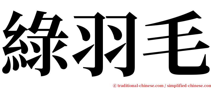 綠羽毛 serif font