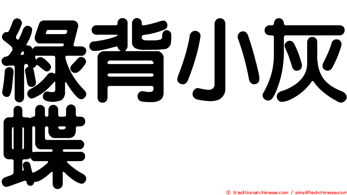 綠背小灰蝶