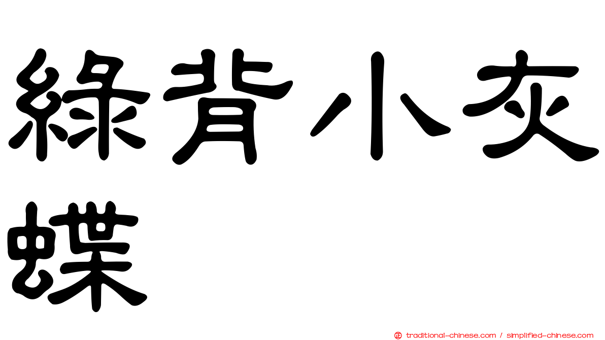 綠背小灰蝶
