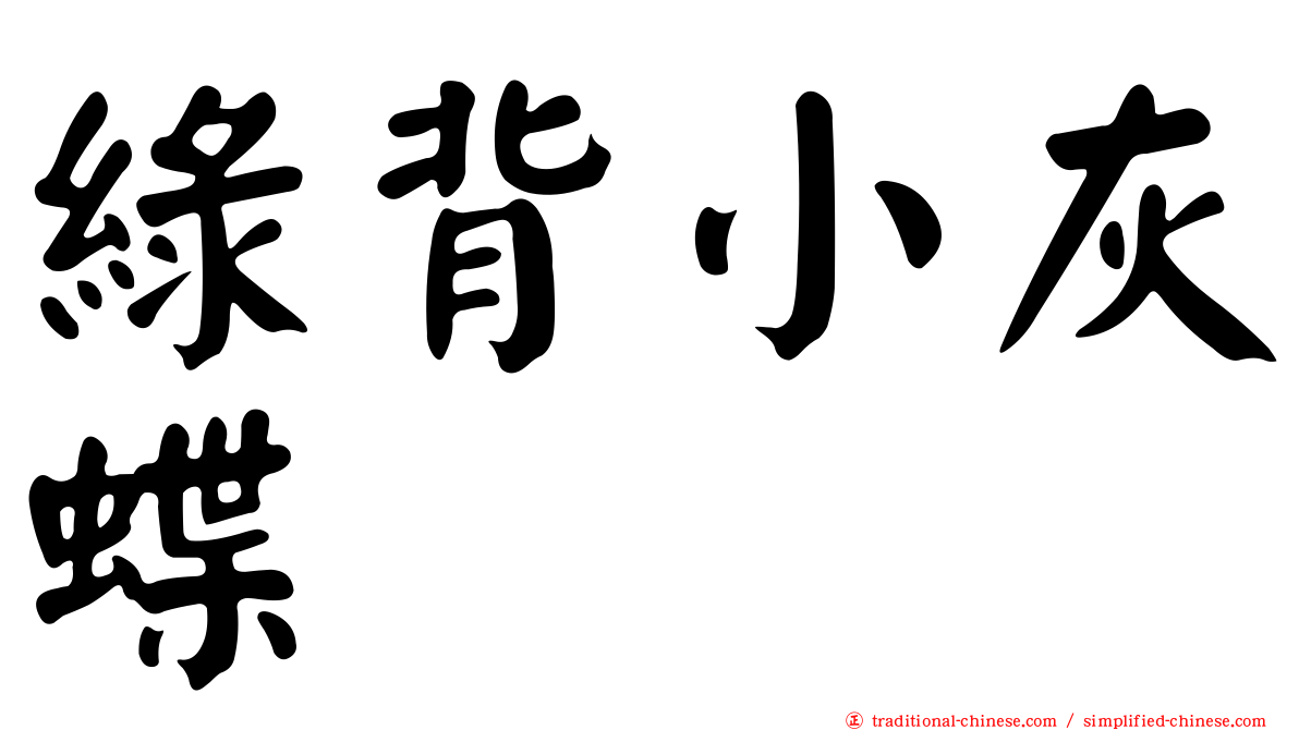 綠背小灰蝶