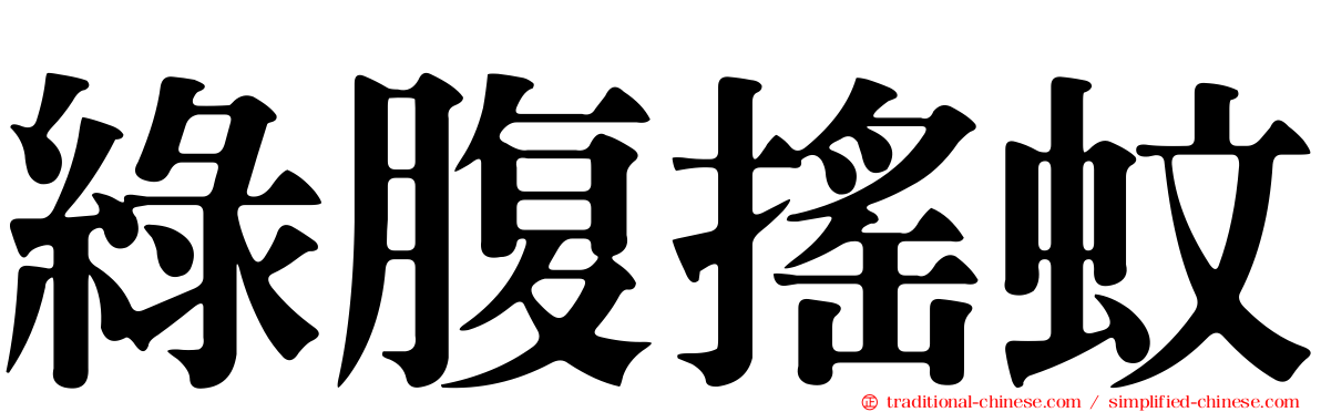 綠腹搖蚊