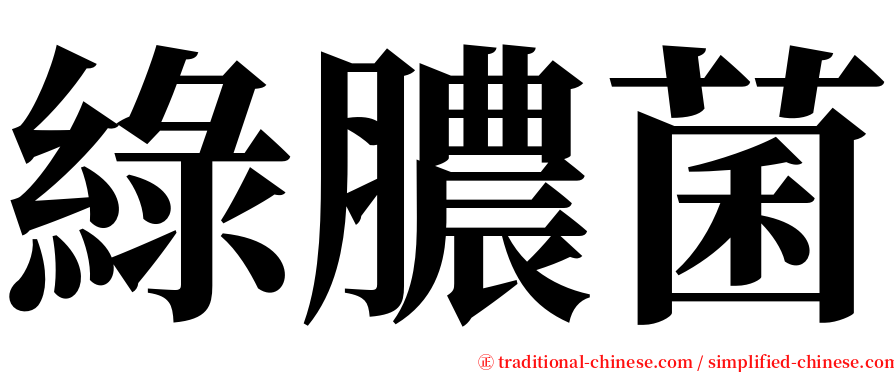 綠膿菌 serif font