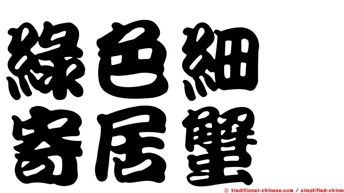 綠色細螯寄居蟹