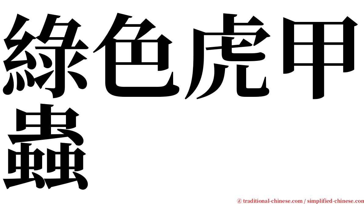 綠色虎甲蟲 serif font