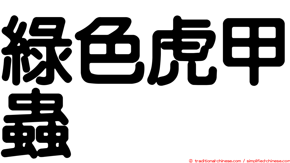 綠色虎甲蟲